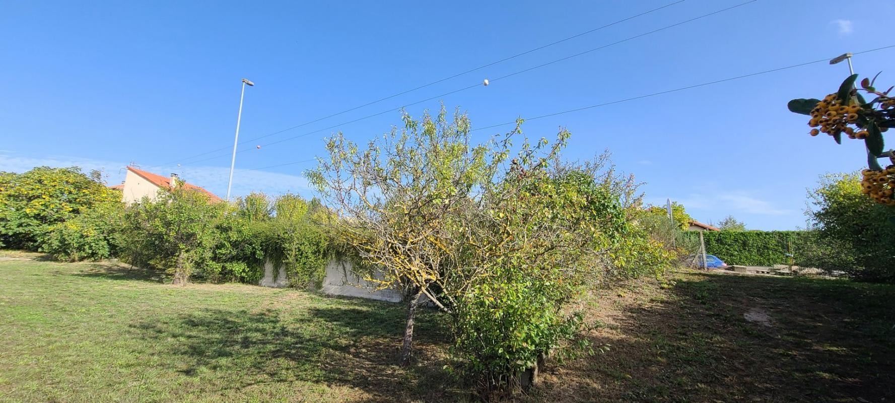 Vente Terrain à Millau 0 pièce