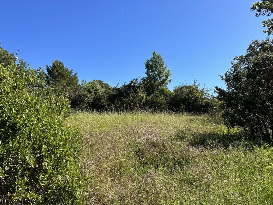 Vente Terrain à Caunes-Minervois 0 pièce