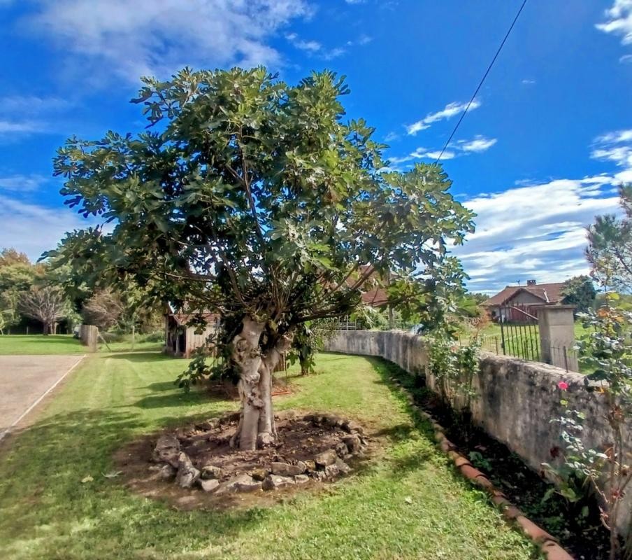 Vente Maison à Pontonx-sur-l'Adour 5 pièces