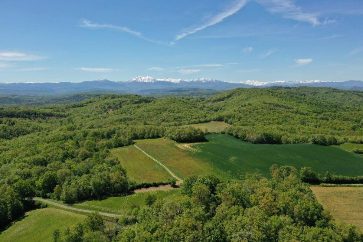 Vente Maison à Mirepoix 20 pièces