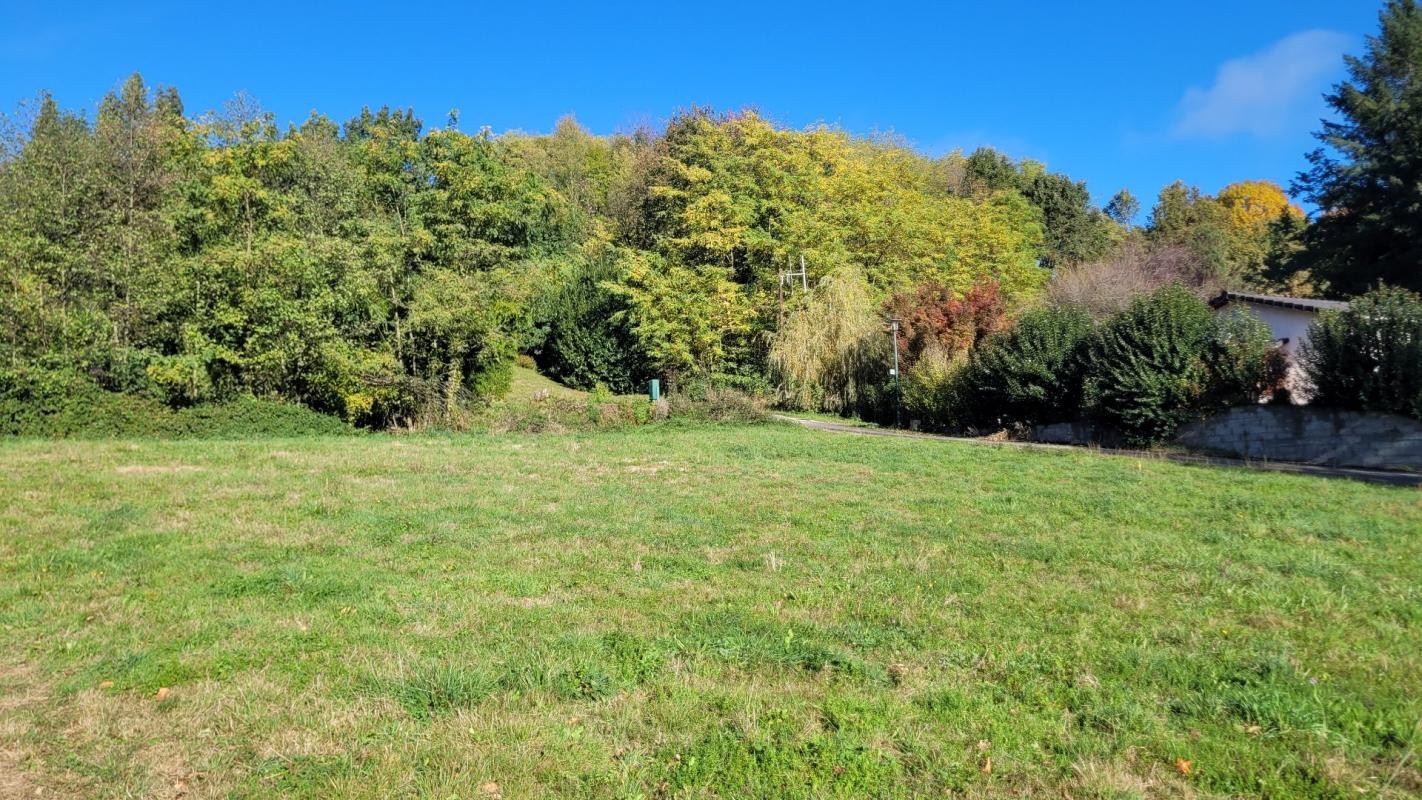 Vente Terrain à Foix 0 pièce