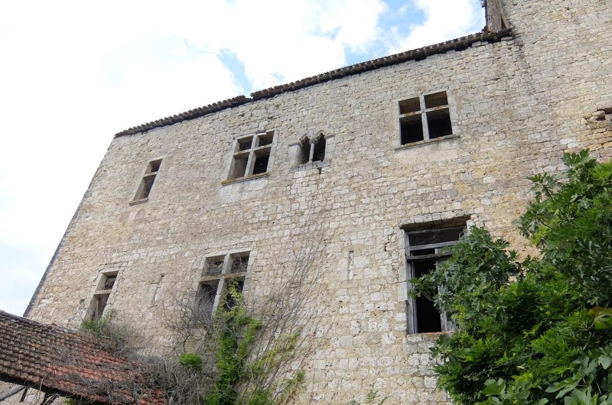 Vente Maison à Valence-sur-Baïse 10 pièces