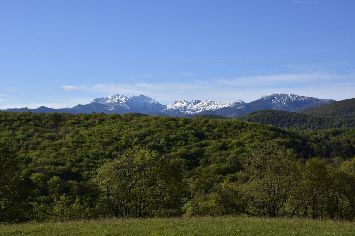 Vente Maison à Ventenac 20 pièces