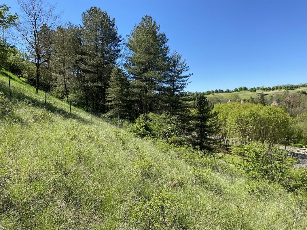 Vente Terrain à Onet-le-Château 0 pièce