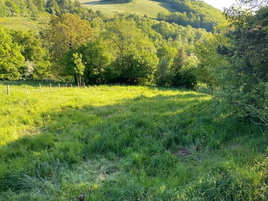 Vente Maison à Entraygues-sur-Truyère 6 pièces