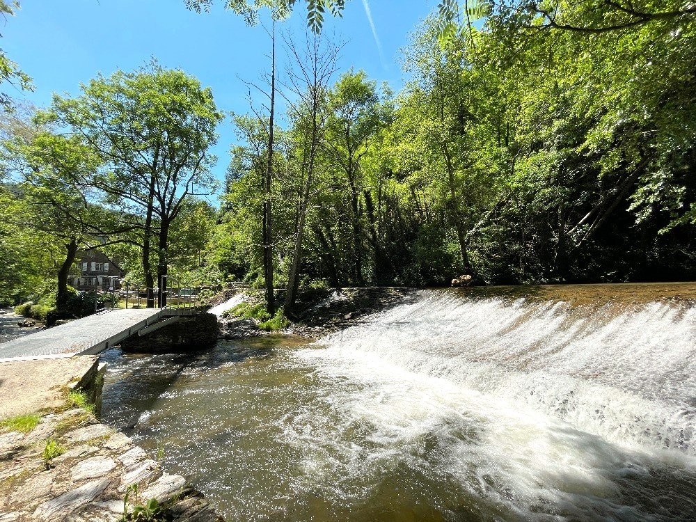 Vente Maison à Cassaniouze 5 pièces