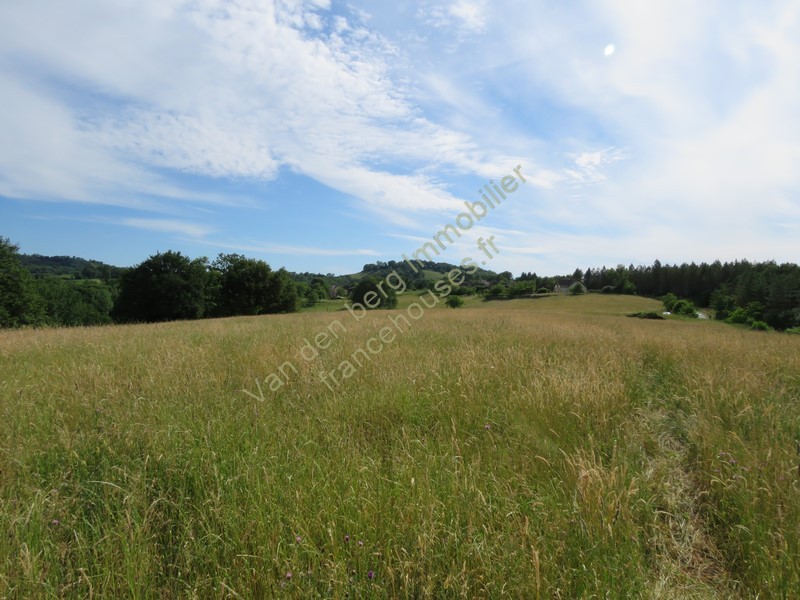 Vente Terrain à Juillac 0 pièce