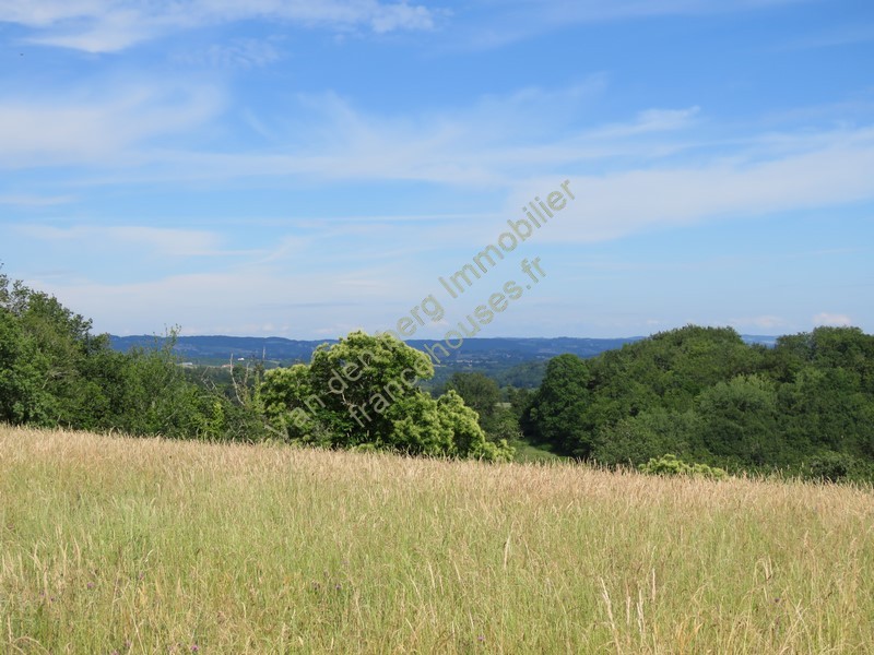 Vente Terrain à Juillac 0 pièce