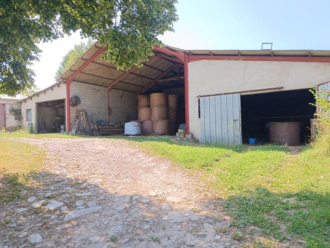 Vente Maison à Sainte-Juliette-sur-Viaur 7 pièces