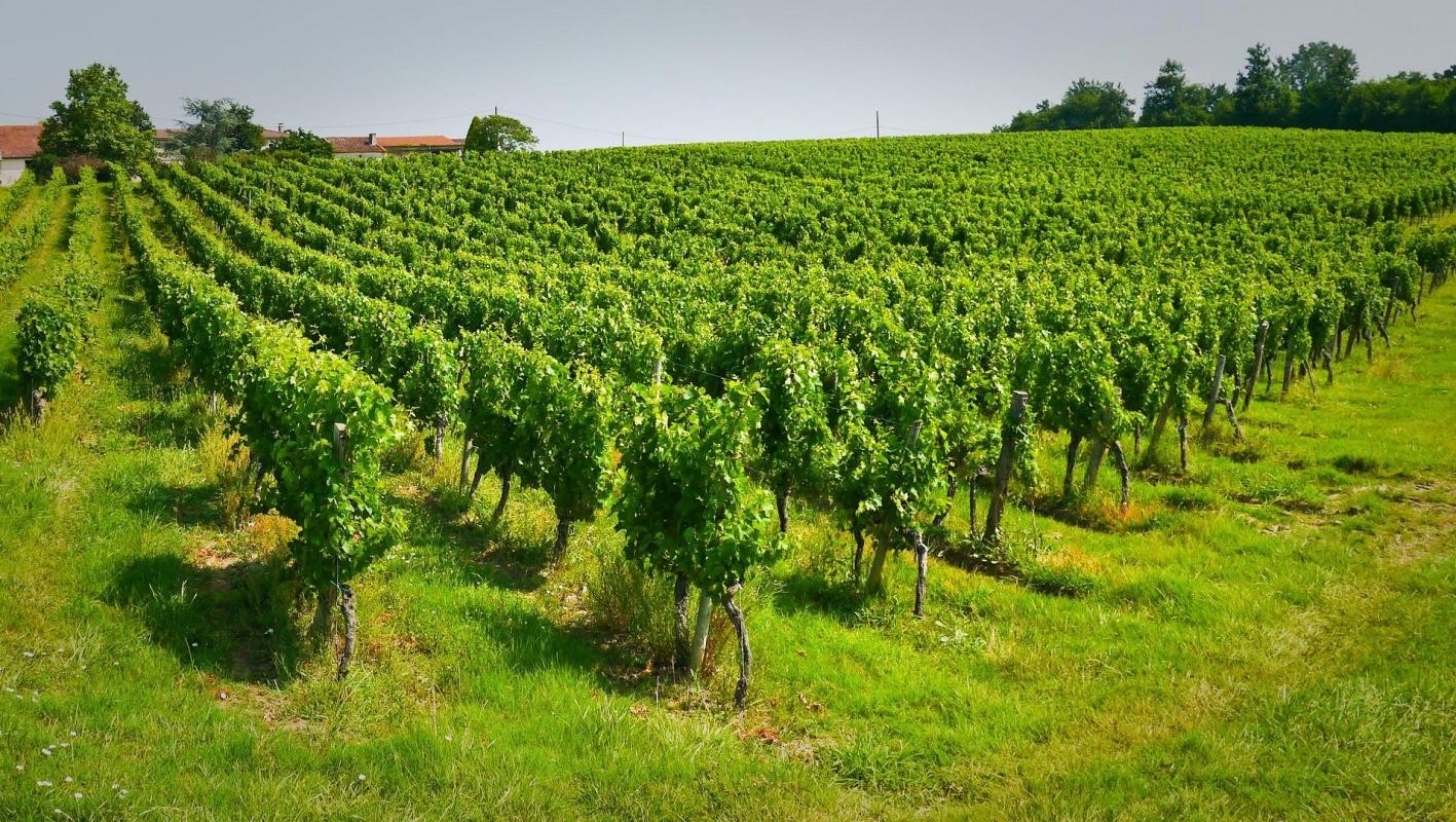 Vente Maison à Sauveterre-de-Guyenne 4 pièces