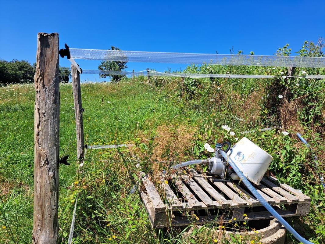 Vente Terrain à Juillac 0 pièce