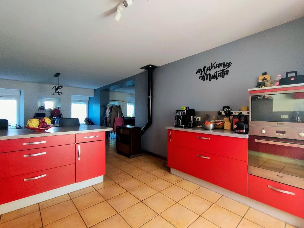 Vente Maison à Lavelanet 12 pièces