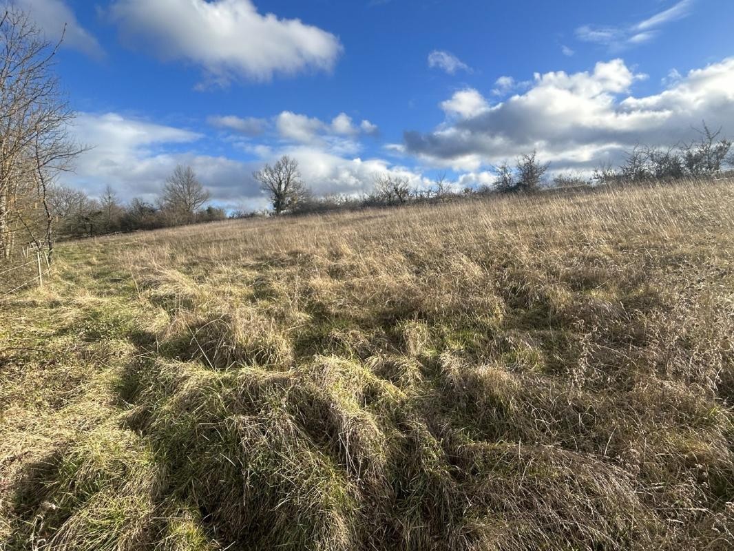 Vente Maison à Laroque-d'Olmes 6 pièces