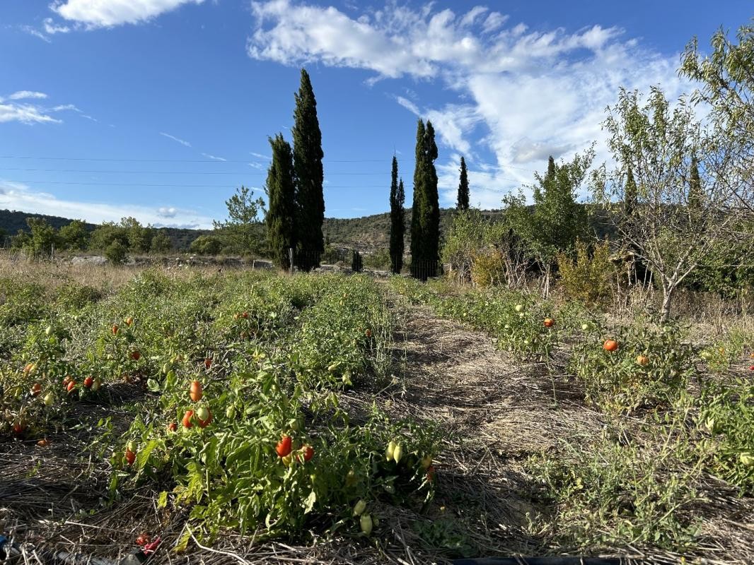 Vente Maison à Limoux 5 pièces