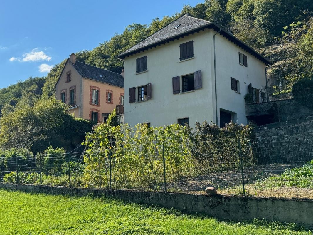 Vente Maison à Entraygues-sur-Truyère 14 pièces