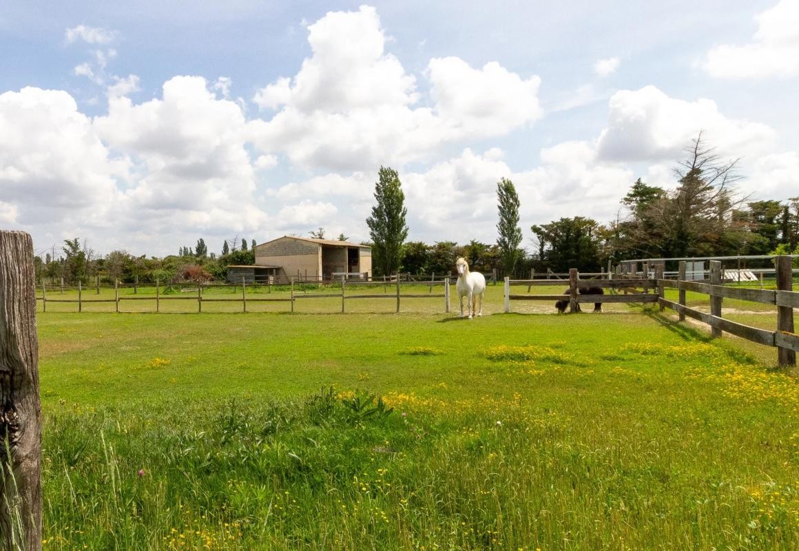 Vente Maison à Arles 6 pièces