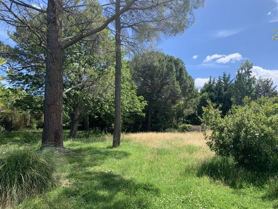 Vente Terrain à Saint-Martin-de-Crau 0 pièce