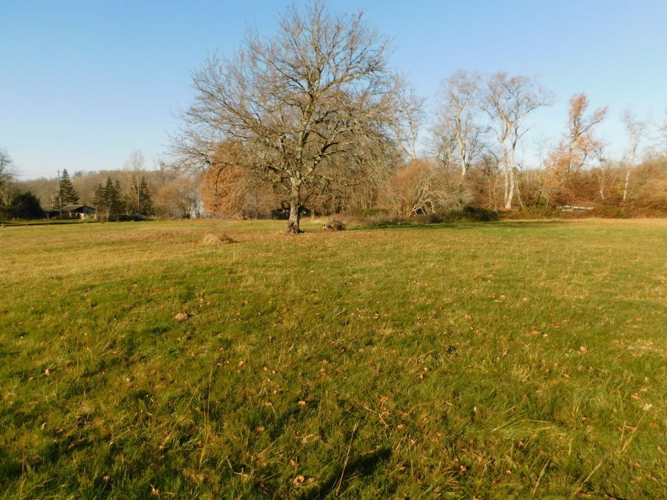 Vente Terrain à Cazaubon 0 pièce