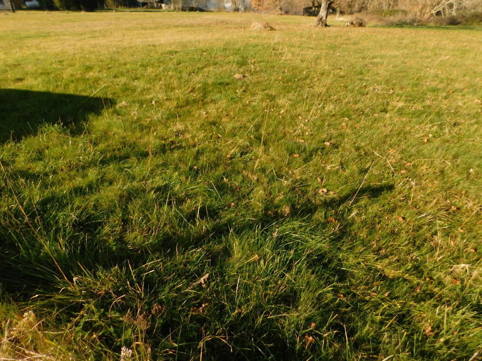 Vente Terrain à Cazaubon 0 pièce