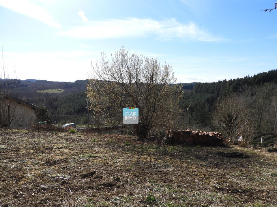 Vente Terrain à Saint-Rémy-sur-Durolle 0 pièce