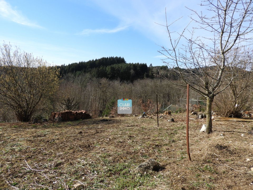 Vente Terrain à Saint-Rémy-sur-Durolle 0 pièce