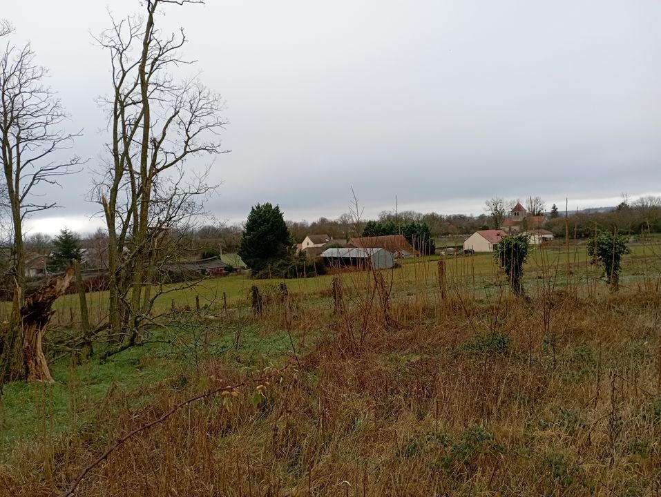 Vente Terrain à Montpensier 0 pièce