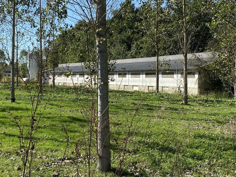 Vente Terrain à Sainte-Christie-d'Armagnac 1 pièce