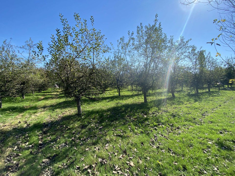 Vente Terrain à Sainte-Christie-d'Armagnac 1 pièce