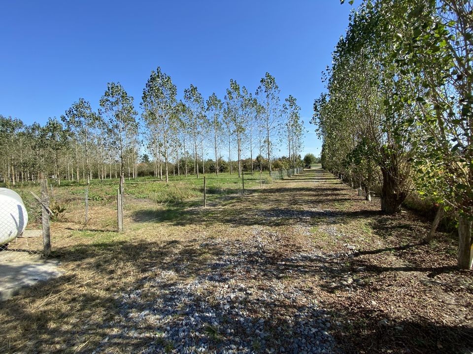 Vente Terrain à Sainte-Christie-d'Armagnac 1 pièce