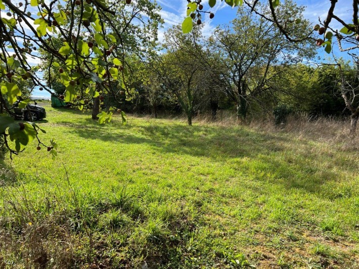 Vente Maison à Verteuil-sur-Charente 6 pièces