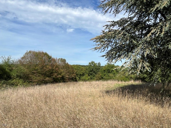 Vente Maison à Verteuil-sur-Charente 6 pièces