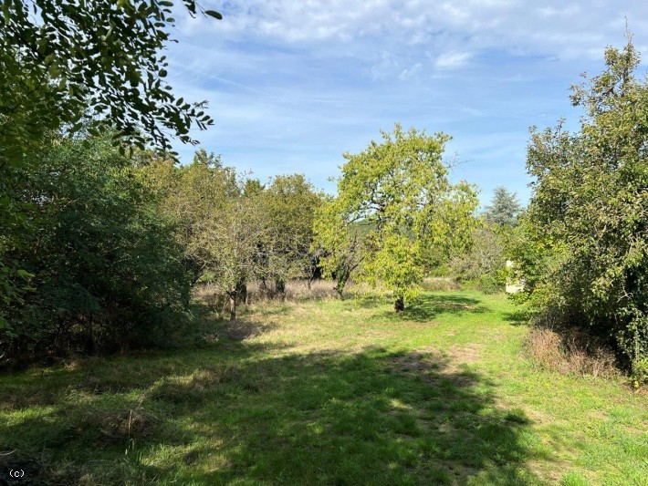 Vente Maison à Verteuil-sur-Charente 6 pièces