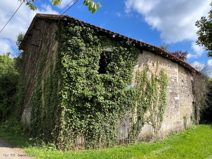 Vente Maison à Champagne-Mouton 11 pièces