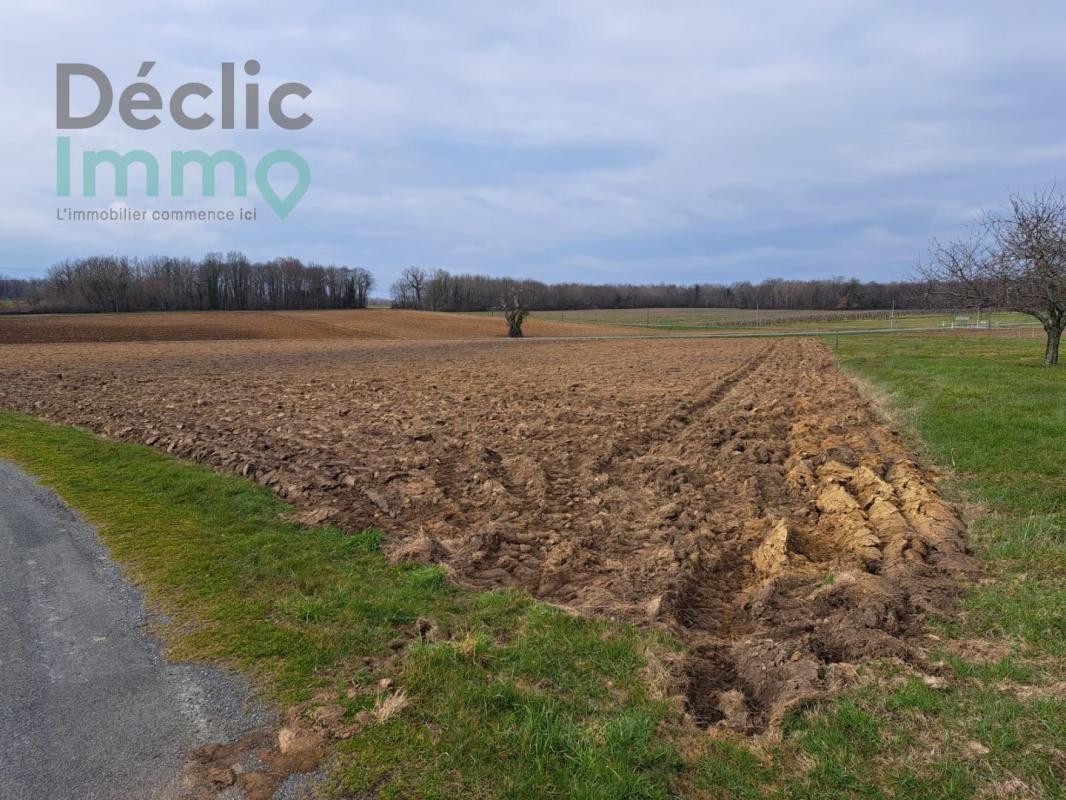 Vente Terrain à Écoyeux 0 pièce