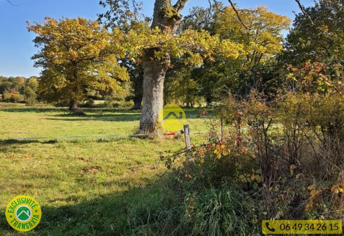 Vente Terrain à Gouzon 0 pièce