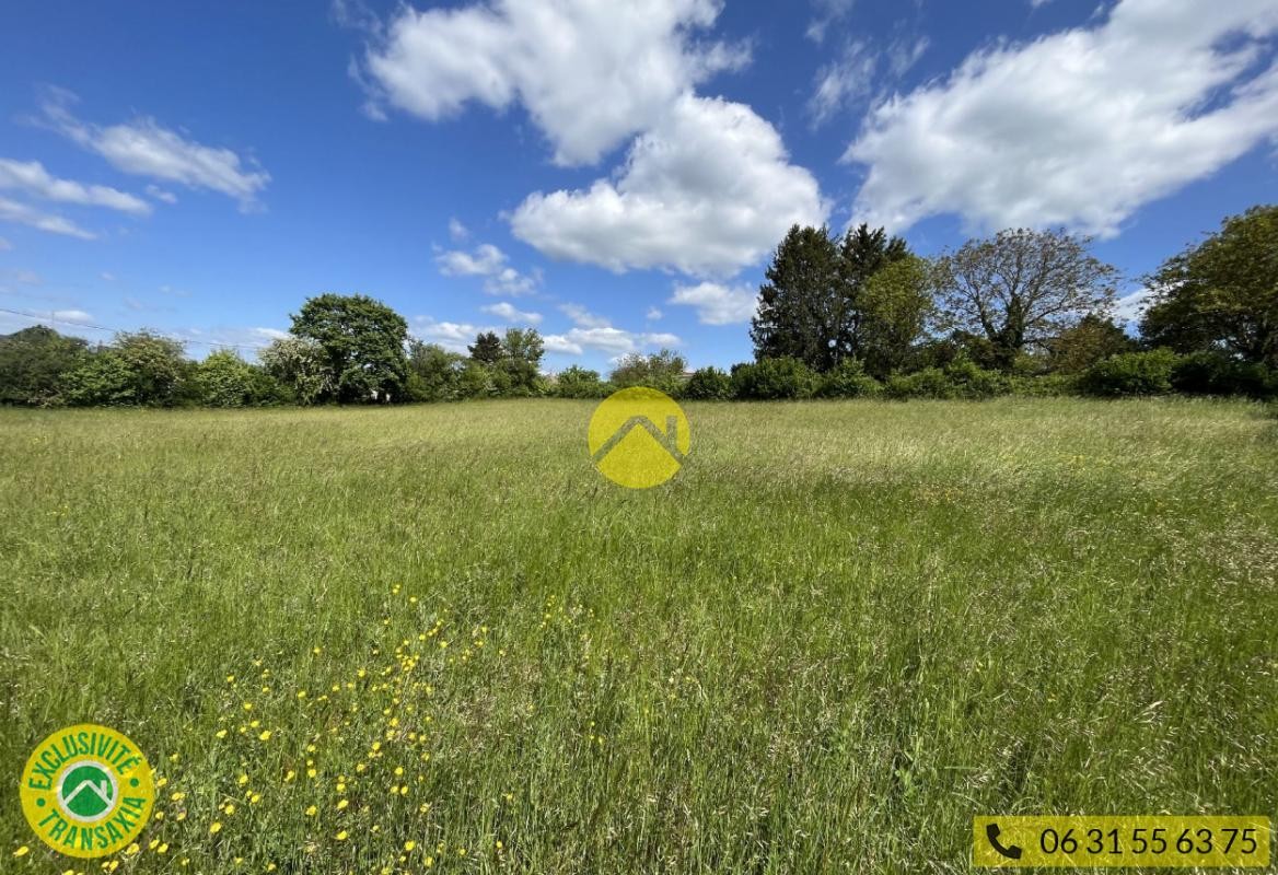 Vente Terrain à Châteauneuf-sur-Cher 0 pièce