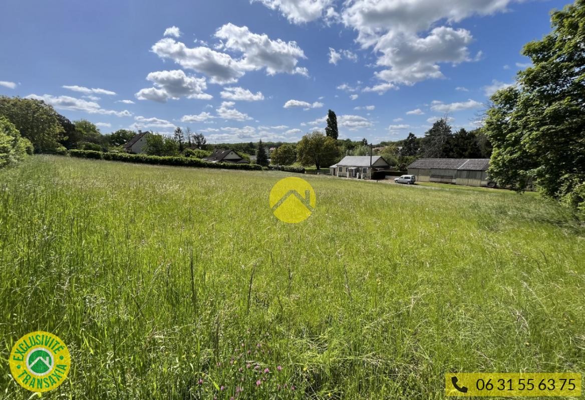 Vente Terrain à Châteauneuf-sur-Cher 0 pièce