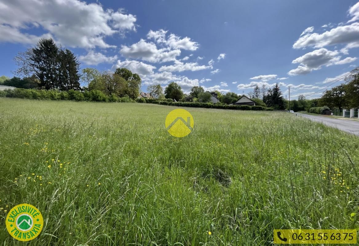 Vente Terrain à Châteauneuf-sur-Cher 0 pièce