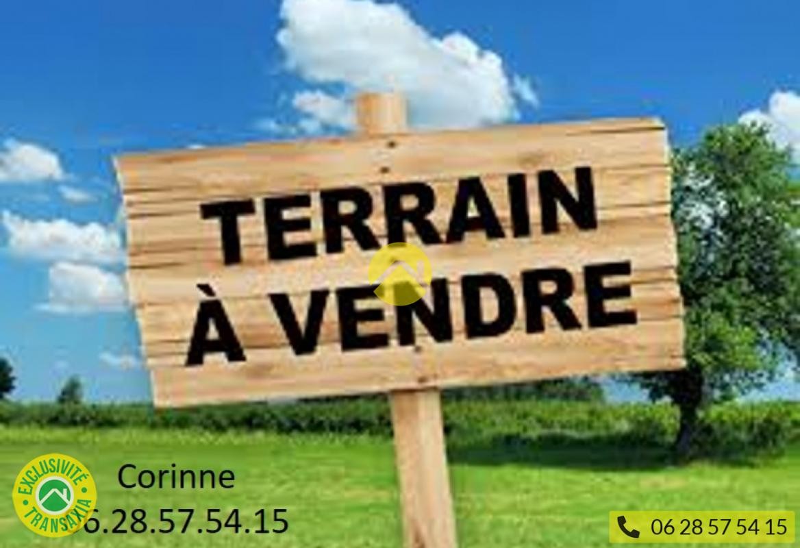 Vente Terrain à Saint-Florent-sur-Cher 0 pièce