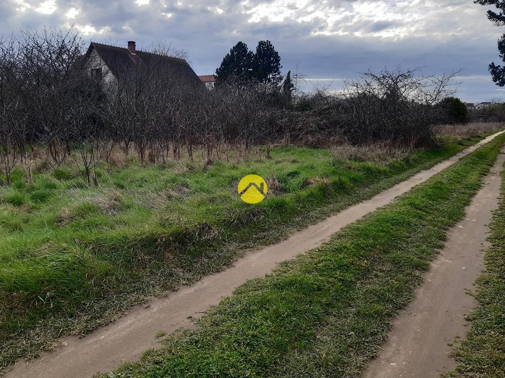 Vente Terrain à Montluçon 0 pièce