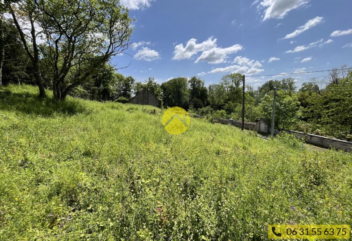 Vente Terrain à Châteauneuf-sur-Cher 0 pièce