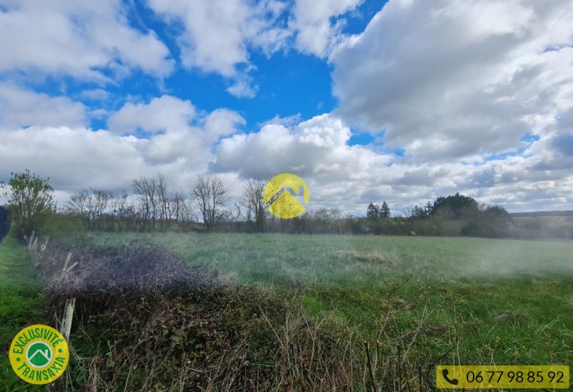 Vente Terrain à Nérondes 0 pièce