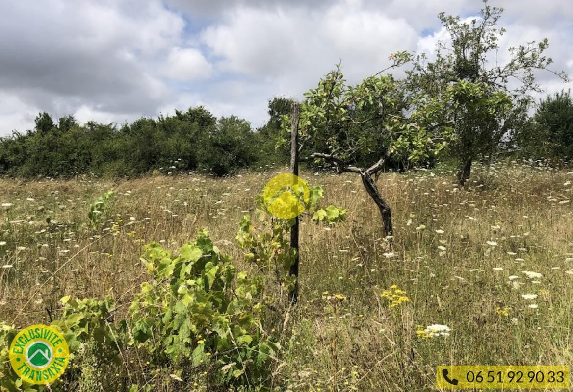 Vente Terrain à Lignières 0 pièce