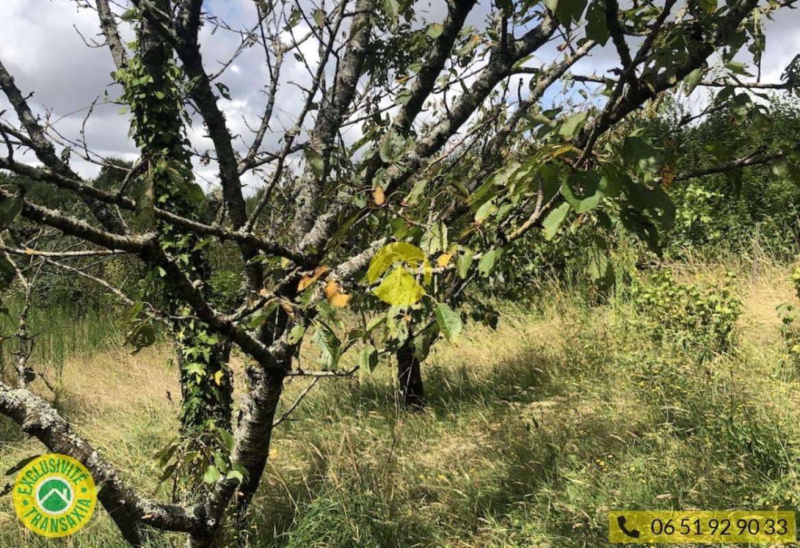 Vente Terrain à Lignières 0 pièce