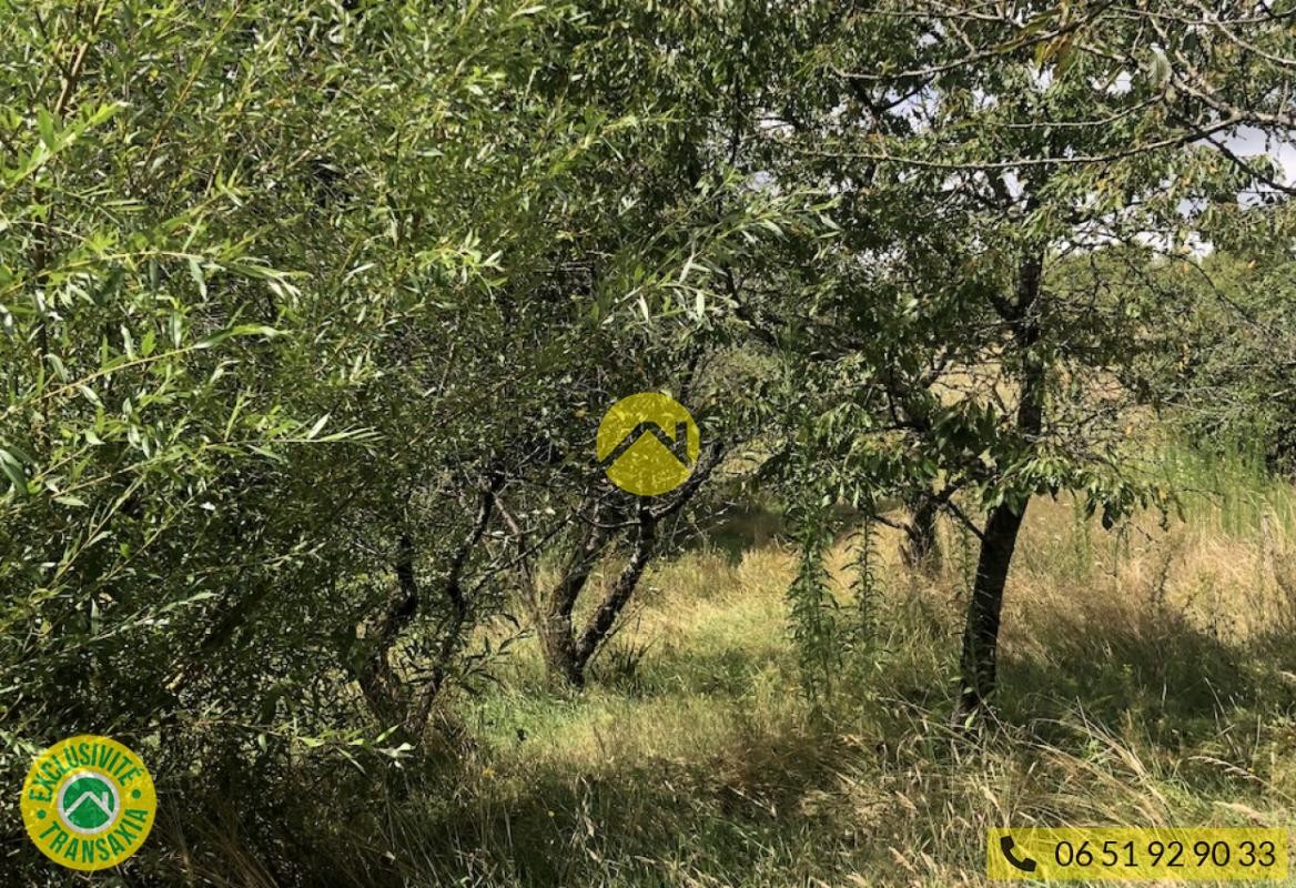 Vente Terrain à Lignières 0 pièce