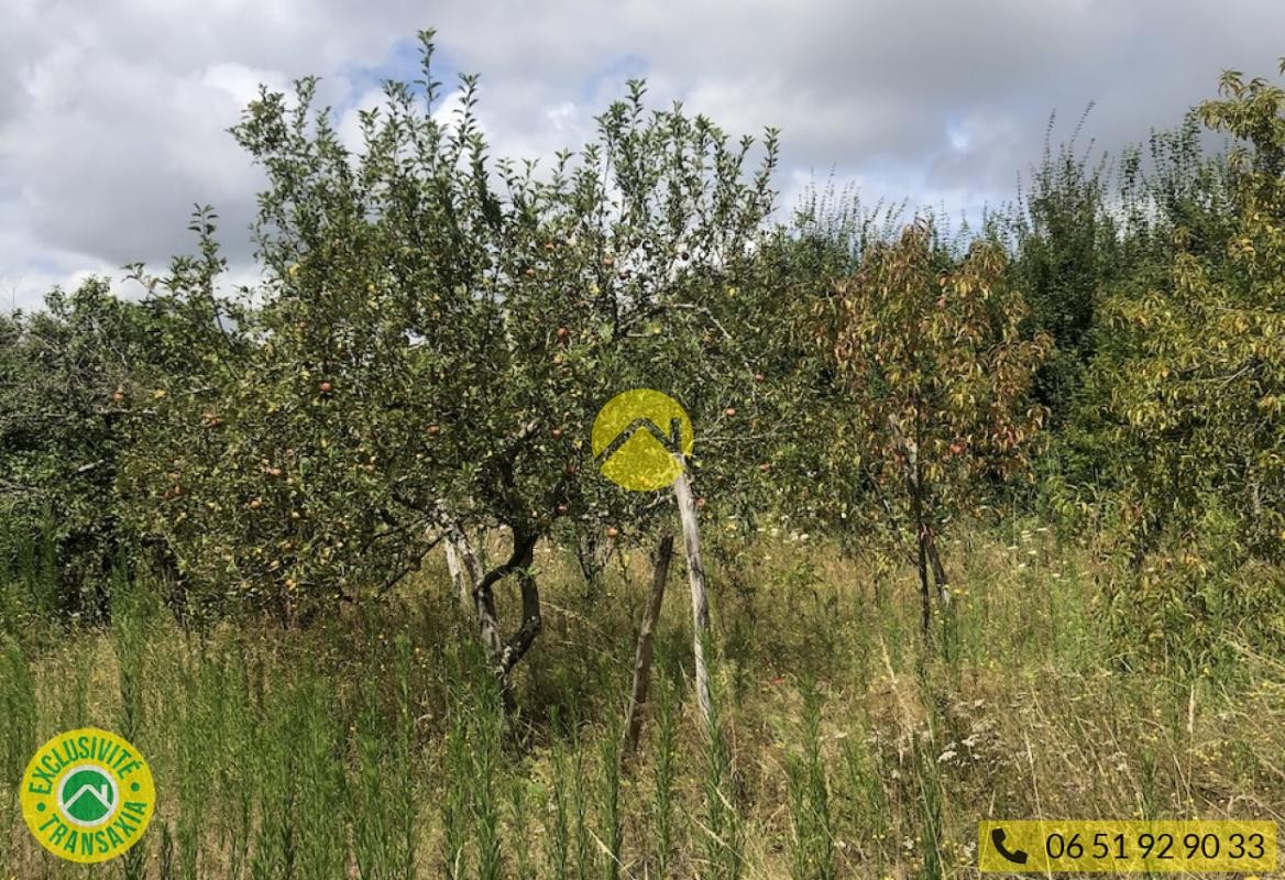 Vente Terrain à Lignières 0 pièce