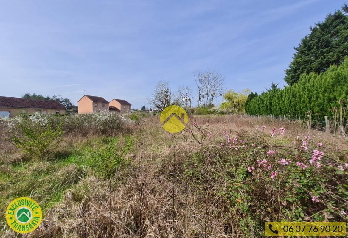 Vente Terrain à Châtillon-sur-Indre 0 pièce