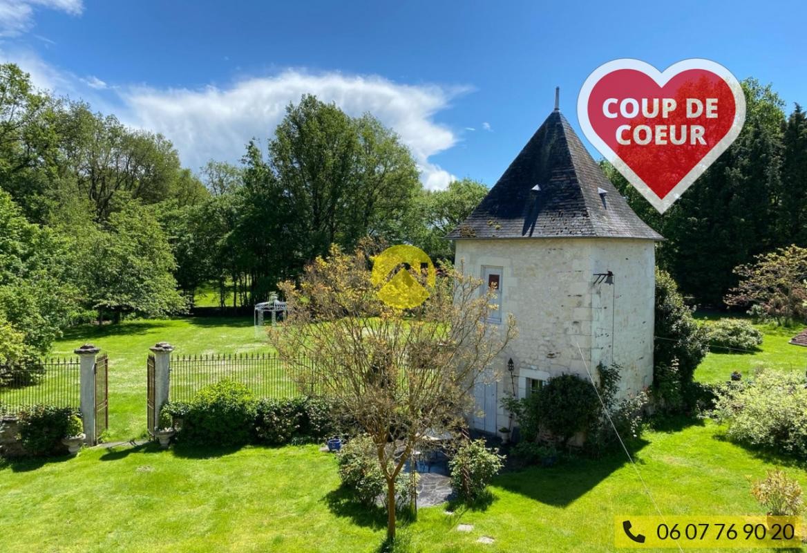 Vente Maison à Luçay-le-Mâle 20 pièces