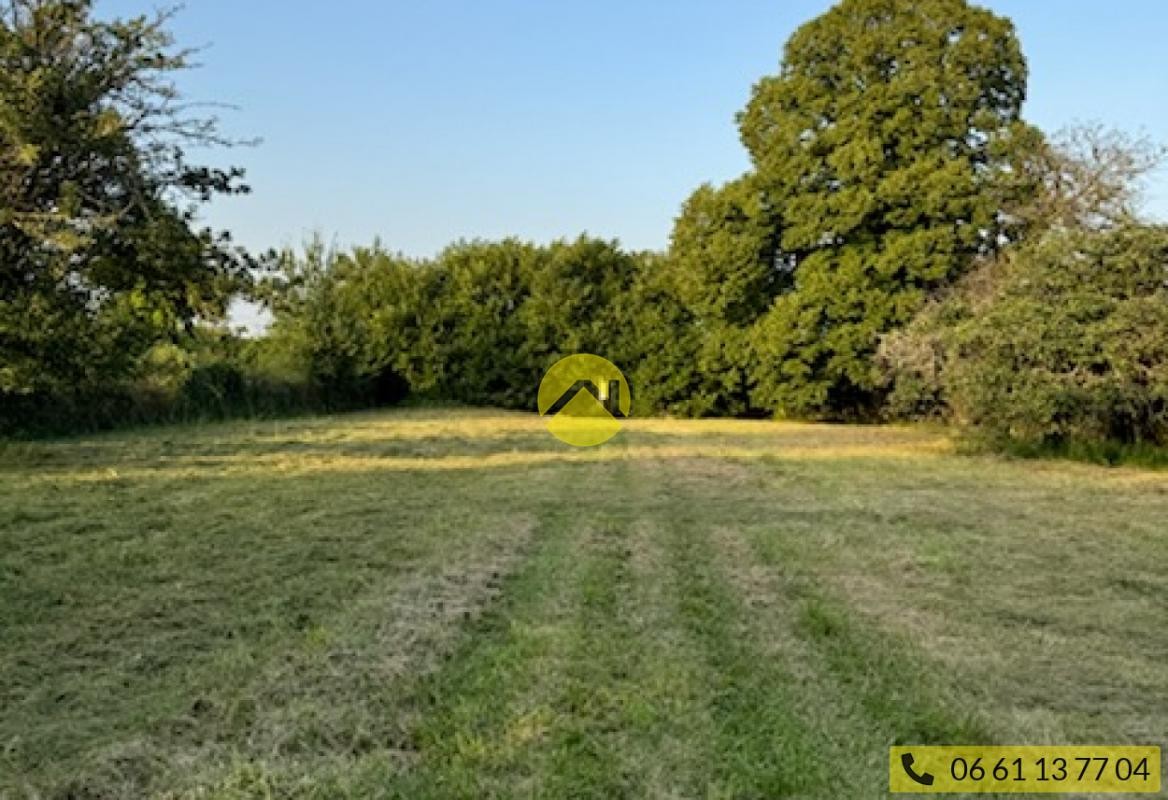 Vente Terrain à Sancerre 0 pièce