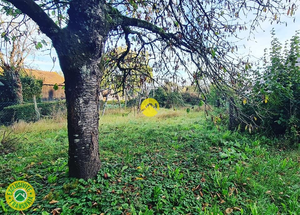 Vente Maison à les Aix-d'Angillon 4 pièces